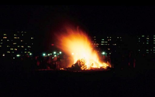 Christmas Tree Bonfire, Bozeman, Montana