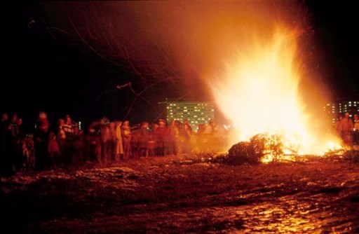 Christmas Tree Bonfire, Bozeman, Montana