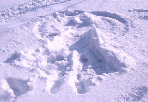 Snow Angel