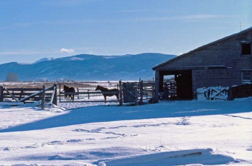 Bozeman, Montana in winter