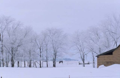 Bozeman, Montana in winter