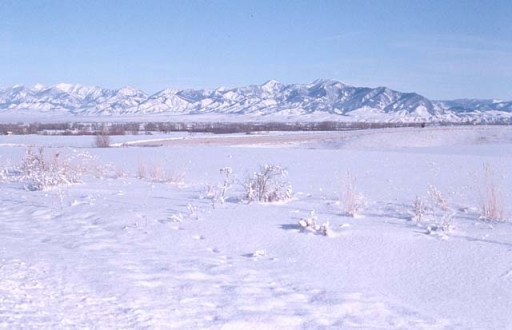 Bozeman, Montana in winter