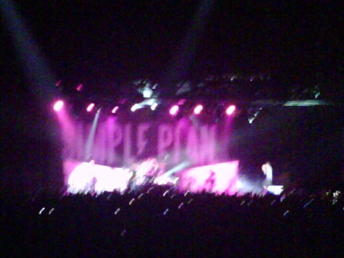 The Simple Plan Concert