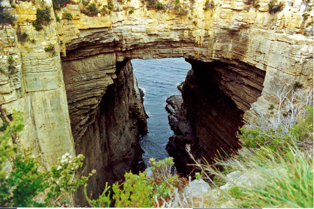 Tasman Arch