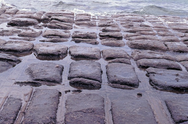 The Tessellated Pavement