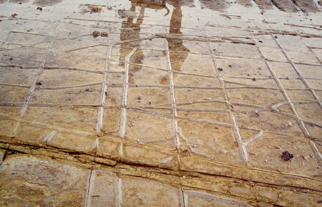 The Tessellated Pavement