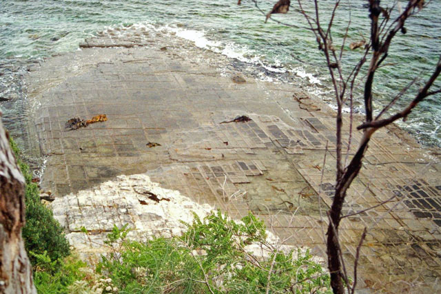 The Tessellated Pavement