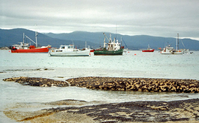 Fishing boats a Bicheno