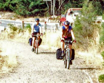 Road to Scamander