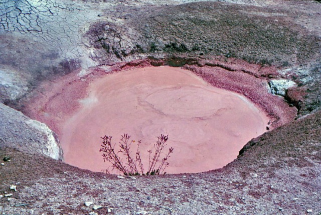 Mud Pool, Yellowstone