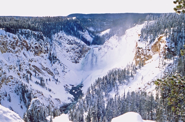 Grand Canyon, Yellowstone