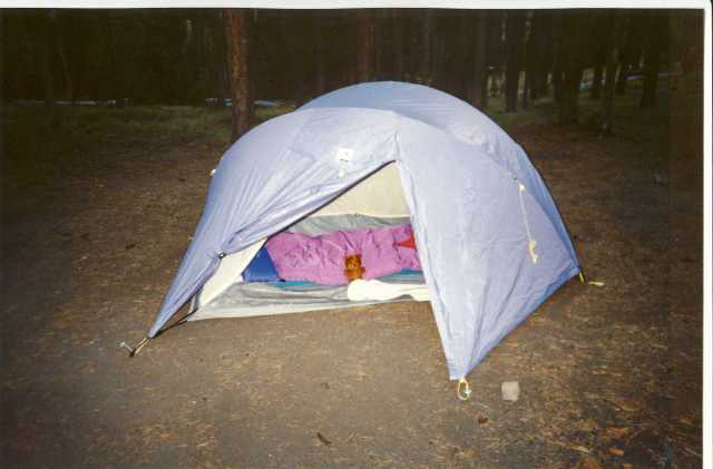 Pooky camping at Yellowstone