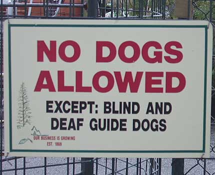 Funny Sign - Blind Dog